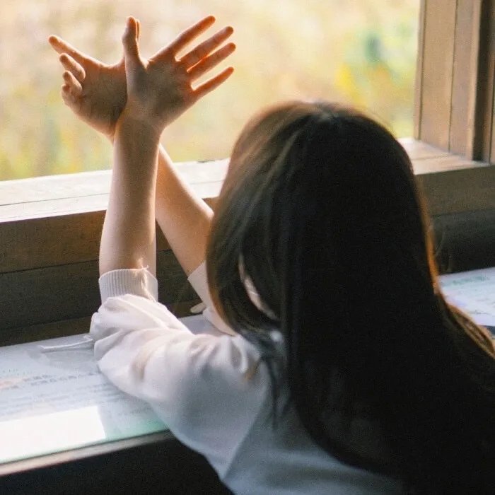 羊在火炉前走失了